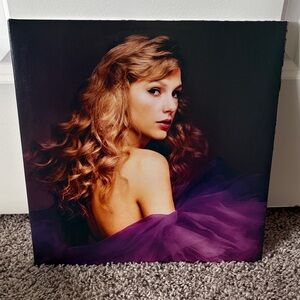 Taylor Swift Speak Now Vinyl